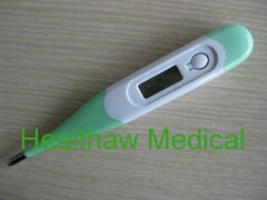 Digital thermometer