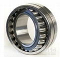 spherical roller  bearings 1