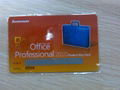 Microsoft Office 2010 Professional Lenovo Card 2