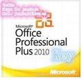 Microsoft Office 2010 Professional Plus