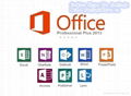 Microsoft Office 2013 Professional Plus