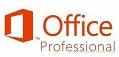 Microsoft Office 2013 Professional Key