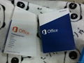 Microsoft Office 2013 Professional PKC 1