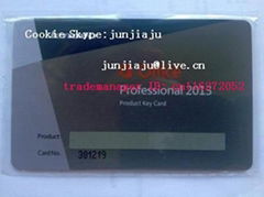 Microsoft Office 2013 Professional Lenovo Card