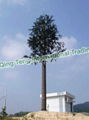 Pine Tree Monopole