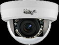 Family style IP Camera