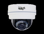 Indoor IR Dome IP camera