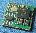 Bluetooth Multimedia ROM module