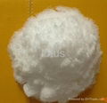 Agricultural Grade Ammonium Chloride N25% Min