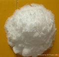 Agricultural Grade Ammonium Chloride