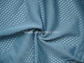 Mesh fabric