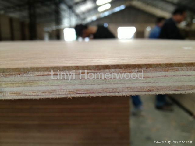 Poplar plywood 2