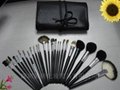 24 teams of professional makeup brush set
