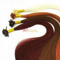 Wholesale Remy European Nail Hair Extensions Fashion Keratin Nail Tip 3