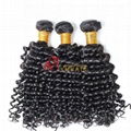 Hot selling high quality hair product human brazilian virgin hair weft   2