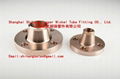 Copper Nickel  Flange EEMUA 145/ANSI