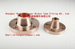 Copper Nickel  Flange EEMUA 145/ANSI B16.5