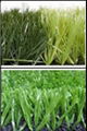 Artificial Grass 5