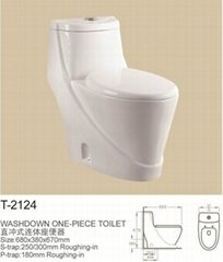 washdown one-piece toilet
