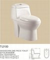 washdown one-piece toilet