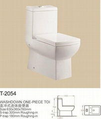 washdown one-piece toilet