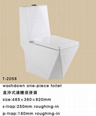 washdown one-piece toilet