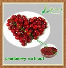 High quality ISO&GMP Cranberry Extract