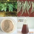 Botanical extracts Natural High quality panax ginseng extract  1