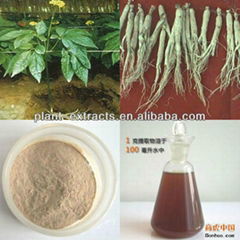 Botanical extracts Natural High quality panax ginseng extract 