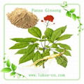 Botanical extracts Natural High quality panax ginseng extract  3