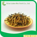 cordyceps sinensis(berk.)sacc  1