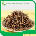 cordyceps sinensis(berk.)sacc  3