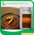 Cordyceps Sinensis Extract with polysaccharide for Nutritional Supplements  3