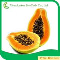 Papain  Pawpaw extract  1