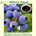 Natural Bilberry Extract Powder