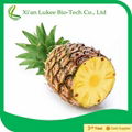 Natural Friut Pineapple Extract Bromelain Enzyme  1