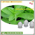 stevia extract (stevioside)