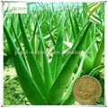 Aloe Vera Extract  1