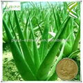 Aloe Vera Extract 