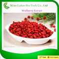 Lycium barbarum fruit extract/Goji berry