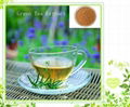 green tea extraction polyphenols powder 50%-98%  2