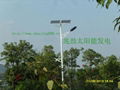 Double solar street lamp 1