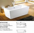 freestanding bathtub 1