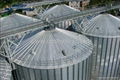 Hopper bottom steel silo with grain