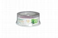 Blank CD-R up to 52x 700MB 80minutes playing time silver shiny with green color 2