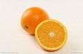 Pectin/citrus pectin-purity 50-99%