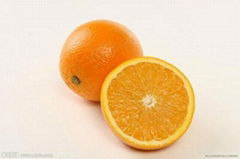 Pectin/citrus pectin-purity 50-99% CAS:9000-69-5