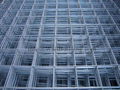 Galvanized Welded Wire Mesh Panel 5