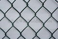 Hot Dipped Galvanized Chian Link Fence 1