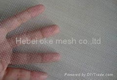 Stainless Steel window screen